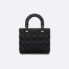 Small Lady Dior My ABCDior Bag