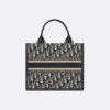 Small Dior Book Tote