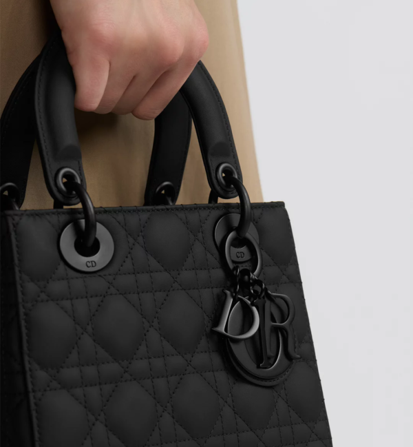 Small Lady Dior My ABCDior Bag