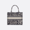 Small Dior Book Tote