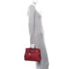 Togo Birkin 25 Rouge Grenat