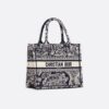 Small Dior Book Tote