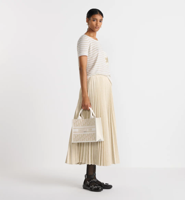 Small Dior Book Tote