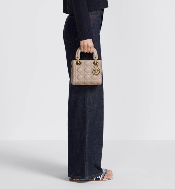 Mini Lady Dior Bag