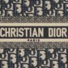 Small Dior Book Tote