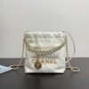 2025 Spring and Summer Preview Series CHANEL 22 Mini Handbag