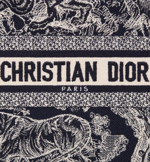 Small Dior Book Tote