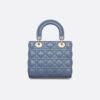 Small Lady Dior My ABCDior Bag