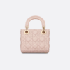 Mini Lady Dior Bag