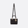 Medium Lady Dior Bag
