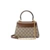 b04dd099b510e1612faf983021508e26.jpg GUCCI HORSEBIT 1955 MINI TOP HANDLE BAG