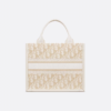 Small Dior Book Tote