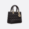 Medium Lady Dior Bag