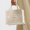 Small Dior Book Tote