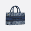 Mini Dior Book Tote