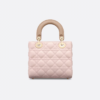 Small Lady Dior My ABCDior Bag