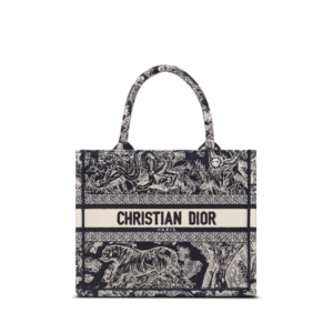 Small Dior Book Tote