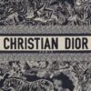 Large Dior Book Tote